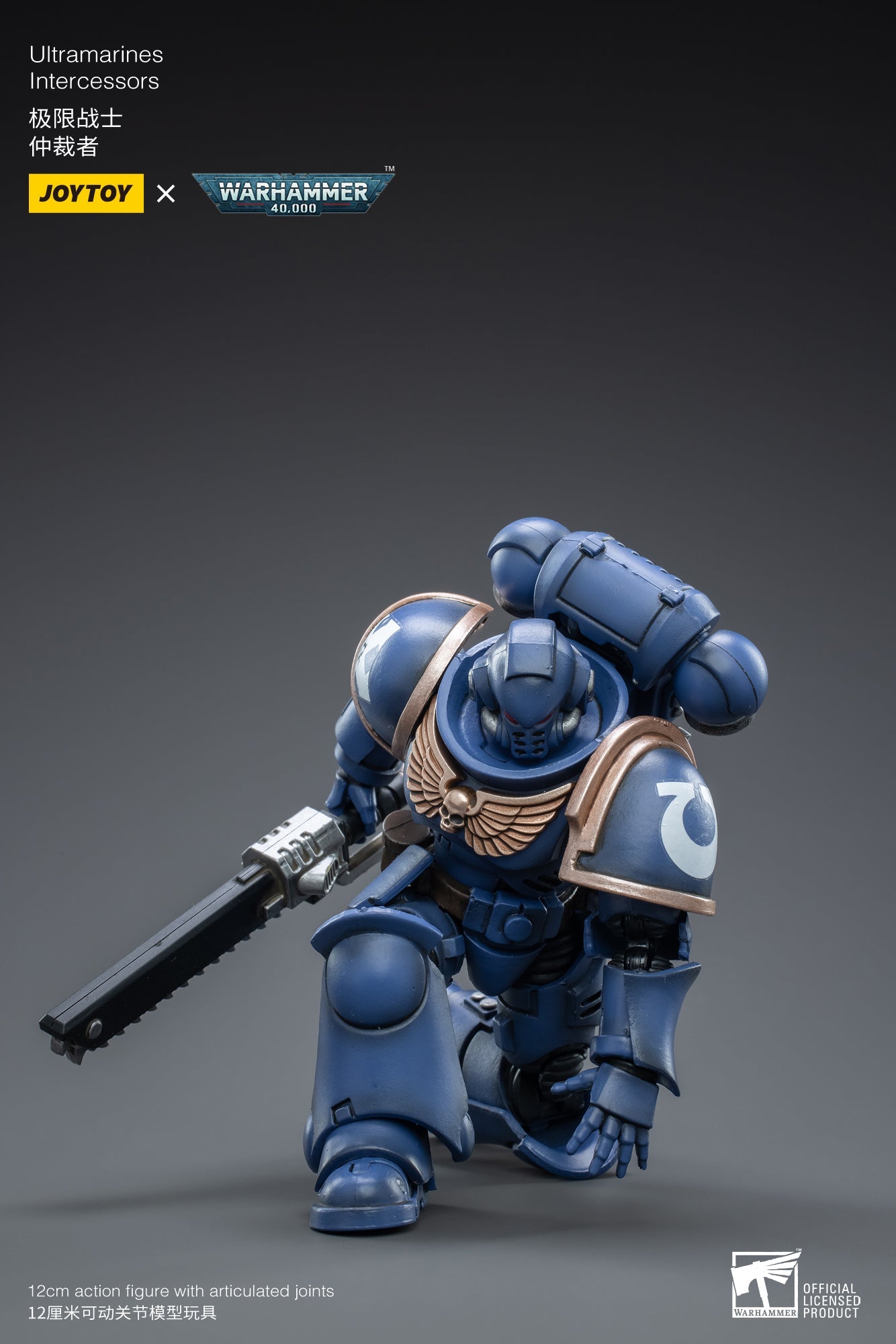 Joy Toy - Warhammer 40K - Ultramarines  - Intercessors