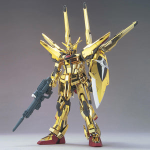 HGCE #15 Akatsuki Oowashi/Shiranui 1/100